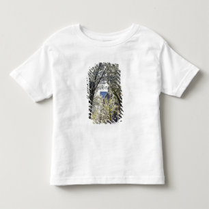 Camiseta De Bebé EE. UU., Massachusetts, Boston, Beacon Hill.
