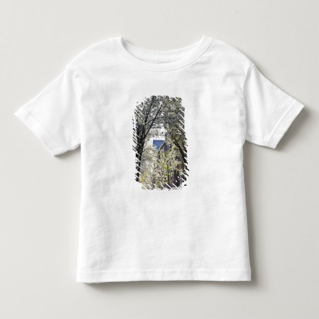 Camiseta De Bebé EE. UU., Massachusetts, Boston, Beacon Hill. (Anverso)