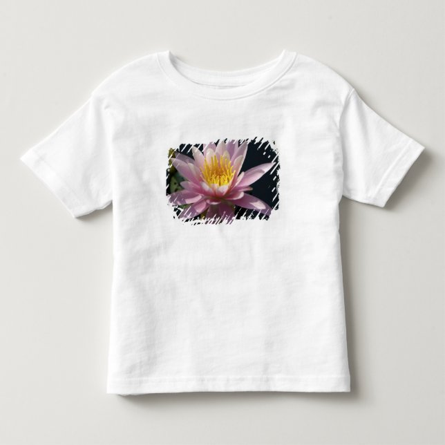Camiseta De Bebé EE. UU., Massachusetts, Great Barrington, hoja de  (Anverso)