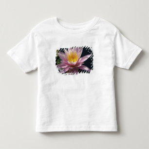 Camiseta De Bebé EE.UU., Massachusetts, Great Barrington, lily pad