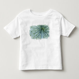 Camiseta De Bebé EE. UU., Michigan. Encaje de la Reina visto desde
