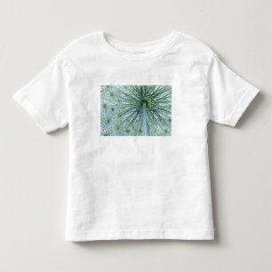 Camiseta De Bebé EE. UU., Michigan. Encaje de la Reina visto desde