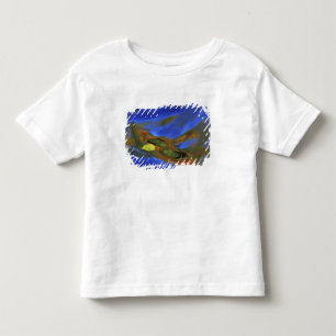 Camiseta De Bebé EE. UU., Michigan, Península Superior, hoja de abe
