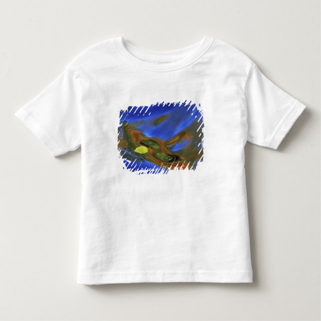 Camiseta De Bebé EE.UU., Michigan, península superior, hoja de abed (Anverso)