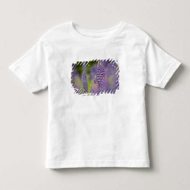 Camiseta De Bebé EE. UU., Minnesota del noreste, cerca de Silver Ba (Anverso)