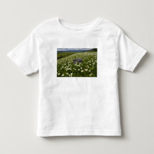 Camiseta De Bebé EE. UU., Montana, margarita silvestre floreciendo