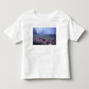 Camiseta De Bebé EE. UU., NA, Washington, Pradera alpina brumosa, M