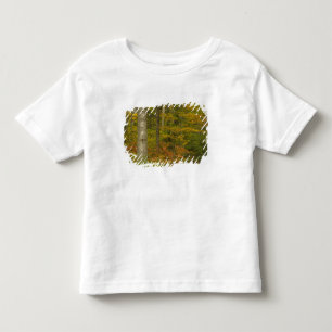 Camiseta De Bebé EE. UU., New Hampshire, Livermore, Montaña Blanca