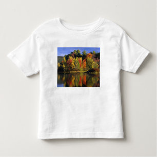 Camiseta De Bebé EE.UU., New Hampshire, Moultonborough. Árboles en