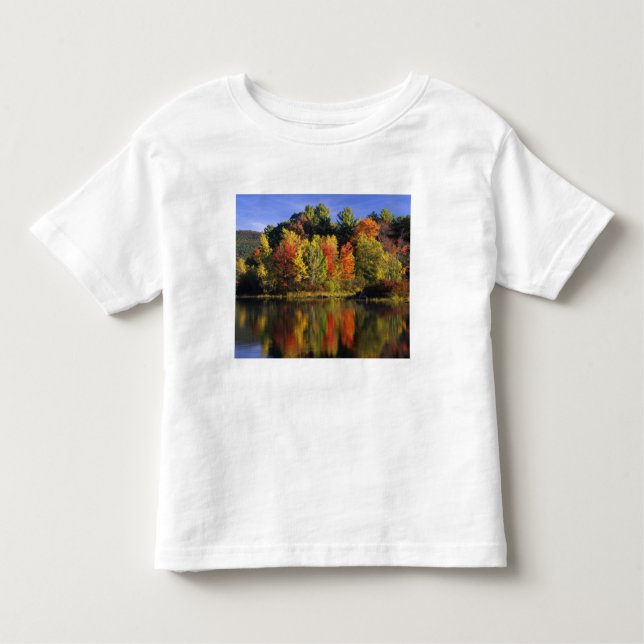 Camiseta De Bebé EE.UU., New Hampshire, Moultonborough. Árboles en (Anverso)