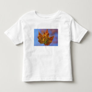 Camiseta De Bebé EE. UU., New Hampshire, White Mountains, Franconia