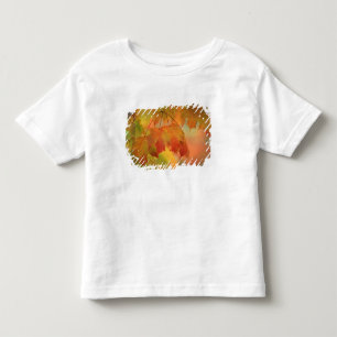 Camiseta De Bebé EE. UU., Nordeste, Hojas de Arce en la Lluvia. Cré