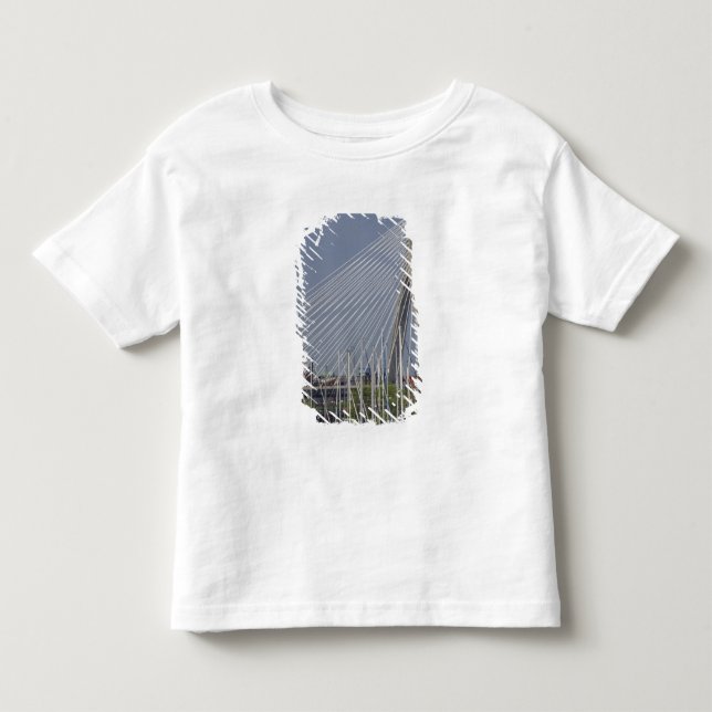 Camiseta De Bebé EE. UU., Nueva Inglaterra, Massachusetts, Boston,  (Anverso)