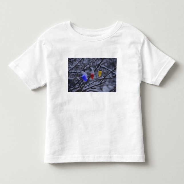 Camiseta De Bebé EE. UU., Nueva Inglaterra, Massachusetts, Reading, (Anverso)
