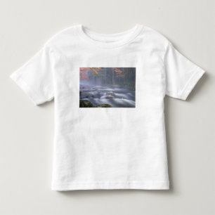 Camiseta De Bebé EE. UU., Nueva York, Adirondacks, río Big Moose