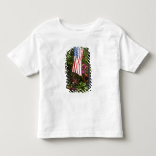 Camiseta De Bebé EE. UU., Nueva York, Lewiston. Bandera estadounide