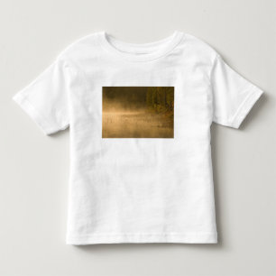 Camiseta De Bebé EE. UU., Nueva York, Parque Adirondack. Niebla al 