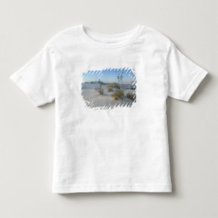 Camiseta De Bebé EE. UU., Nuevo México, White Sands National 2