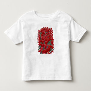 Camiseta De Bebé EE.UU., Ohio, Cincinnati. Cama de tulipanes rojos