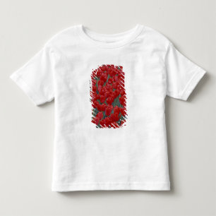 Camiseta De Bebé EE. UU., Ohio, Cincinnati. Lecho de tulipanes rojo