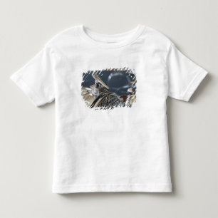 Camiseta De Bebé EE. UU., Ohio, Dayton: Museo Packard de América