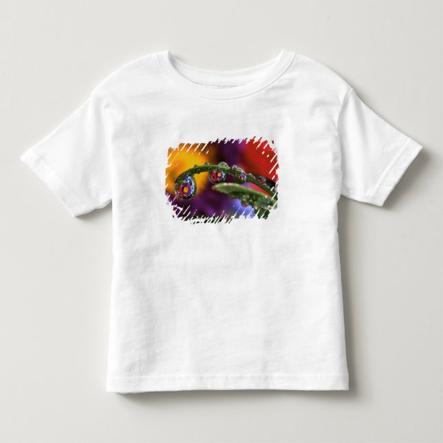 Camiseta De Bebé EE. UU., Oregón, Acercamiento abstracto de morado (Anverso)