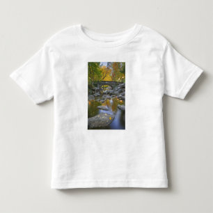 Camiseta De Bebé EE. UU., Oregón, Ashland, Lithia Park. Otoño