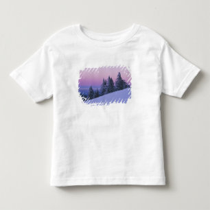 Camiseta De Bebé EE. UU., Oregón, Bosque Nacional Deschutes, Crepús
