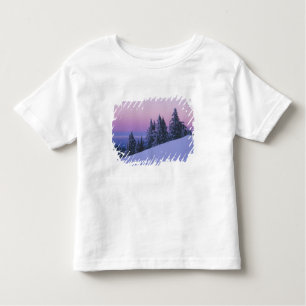 Camiseta De Bebé EE.UU., Oregón, Bosque Nacional Deschutes, Dusk