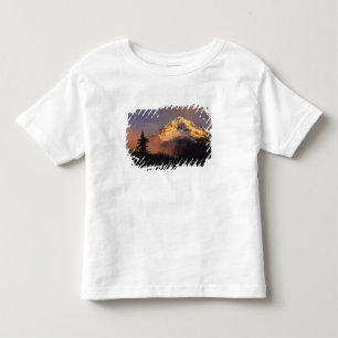 Camiseta De Bebé EE. UU., Oregón, bosque nacional Mt. Hood. Rodando