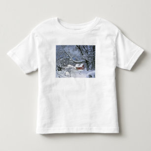 Camiseta De Bebé EE. UU., Oregón, condado de Clackamas. Nieve fresc