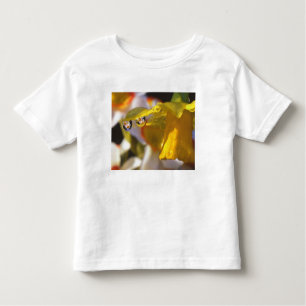 Camiseta De Bebé EE.UU., Oregón, condado de Multnomah, cerca de
