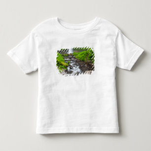 Camiseta De Bebé EE. UU., Oregón, desfiladero del río Columbia, Lat