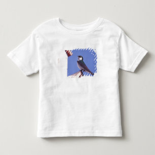 Camiseta De Bebé EE. UU., Oregón. Golondrina Verde-Violeta Tachycin