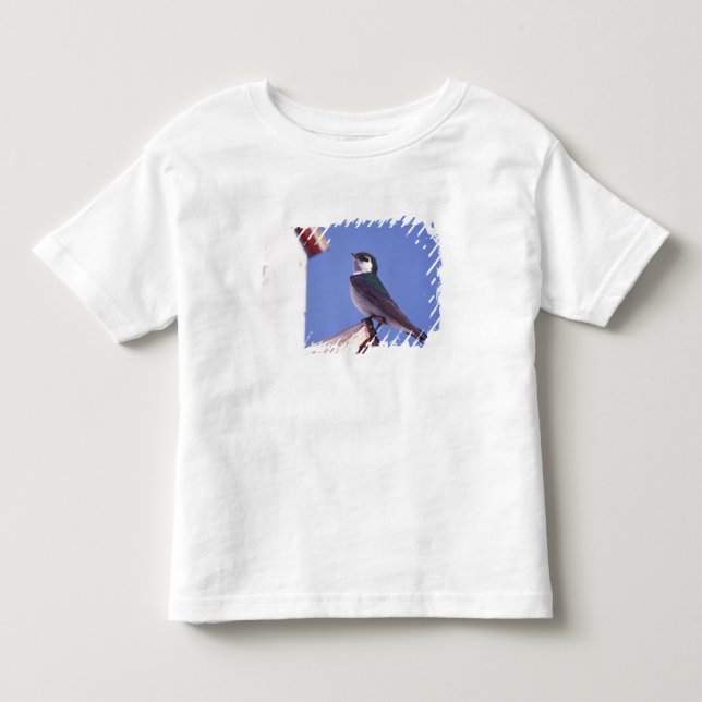 Camiseta De Bebé EE. UU., Oregón. Golondrina Verde-Violeta Tachycin (Anverso)