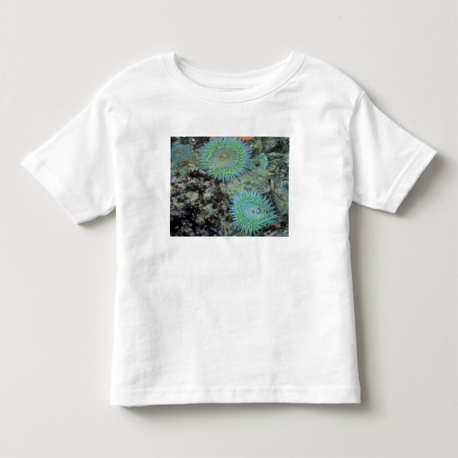Camiseta De Bebé EE. UU., Oregón, Neptuno SP. Mar de tonos brillant (Anverso)
