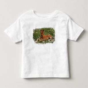 Camiseta De Bebé EE. UU., Oregón, Poni Árabe.