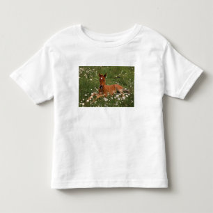 Camiseta De Bebé EE. UU., Oregón, Poni Árabe.