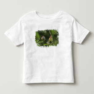 Camiseta De Bebé EE. UU., Oregón, Portland. Ampelís americano macho