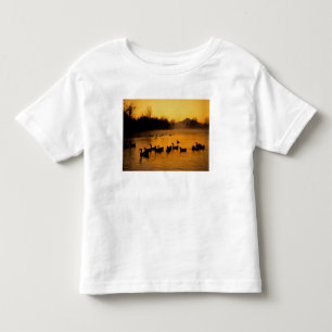 Camiseta De Bebé EE. UU., Oregón, Portland. Aves acuáticas en Colum