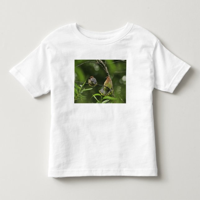Camiseta De Bebé EE. UU., Oregón, Portland. Macho de ampelis americ (Anverso)