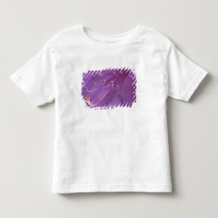 Camiseta De Bebé EE. UU., Oregón, Portland. Primer plano de una