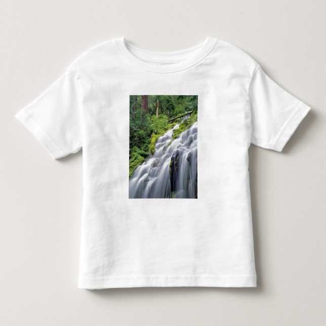 Camiseta De Bebé EE. UU., Oregón, Proxy Falls. Proxy Falls se preci (Anverso)