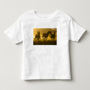Camiseta De Bebé EE. UU., Oregón, Seneca, Ponderosa Ranch.
