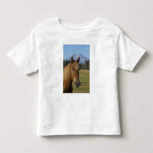 Camiseta De Bebé EE. UU., Oregón, Sisters, vista de Three Sisters,