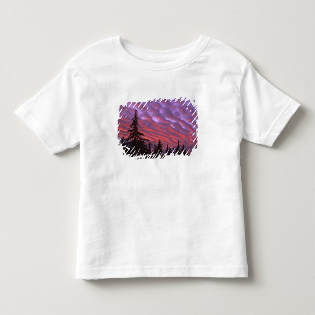Camiseta De Bebé EE. UU., Oregón, Three Sisters Wilderness, Intenso (Anverso)