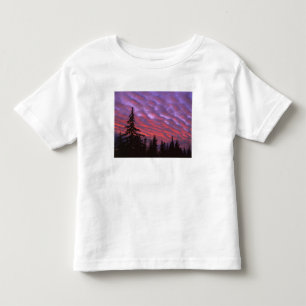 Camiseta De Bebé EE. UU., Oregón, Three Sisters Wilderness, Intenso