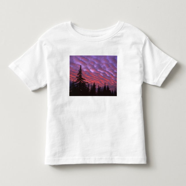 Camiseta De Bebé EE. UU., Oregón, Three Sisters Wilderness, Intenso (Anverso)