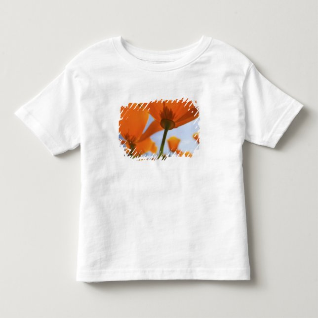 Camiseta De Bebé EE. UU., Oregón, Valle de Willamette, Primer plano (Anverso)