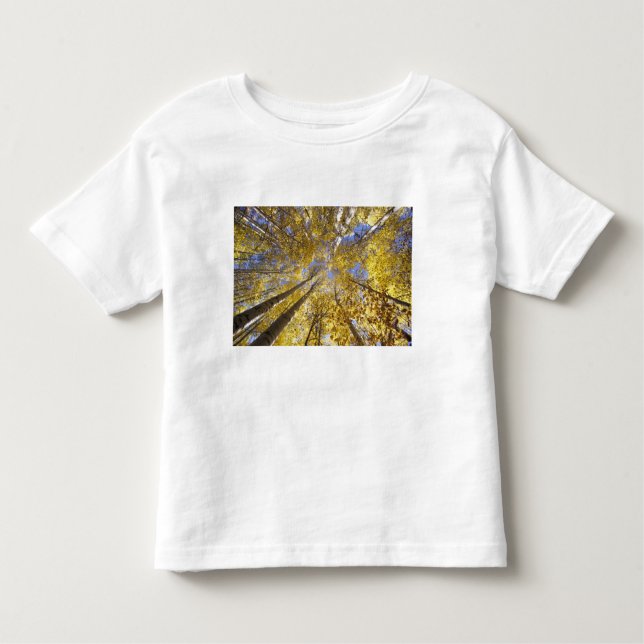 Camiseta De Bebé EE.UU., Pacífico noroeste. Árboles ápitos en otoño (Anverso)